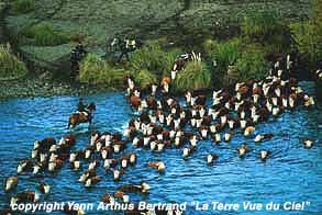 La terre vue du ciel