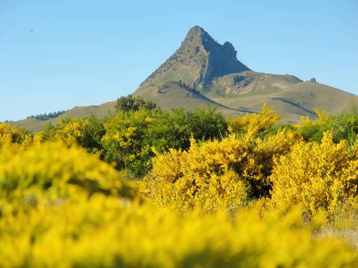 Le Cerro... 100 ans après