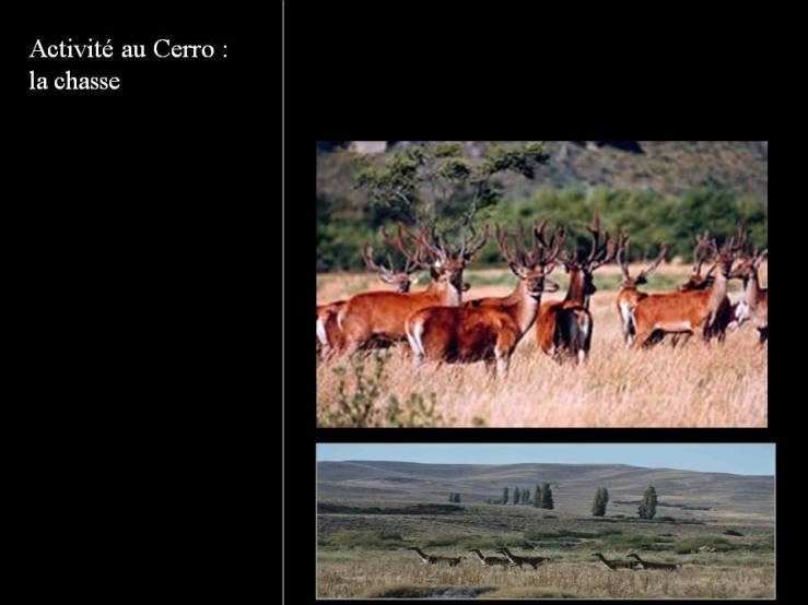 Le Cerro... 100 ans après