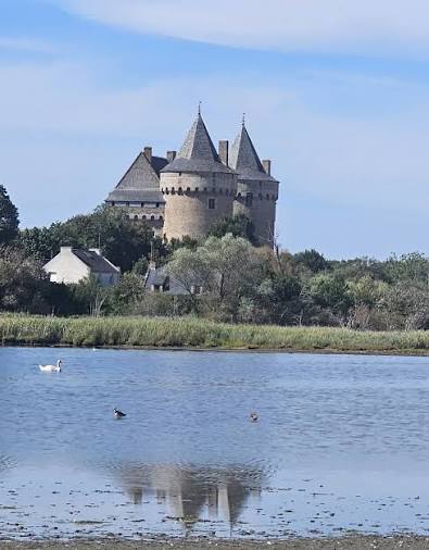 Château de Suscinio